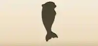 Orca silhouette