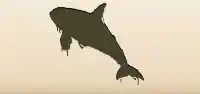 Orca silhouette