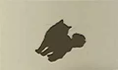 ネコ