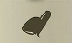 兜