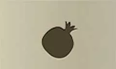 ザクロ