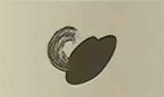 女性用の帽子