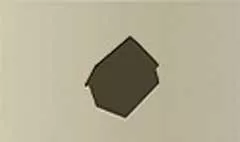家