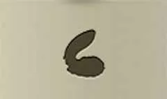 貝殻