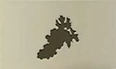 ブドウ