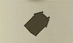 家