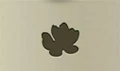蓮