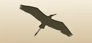 Heron
