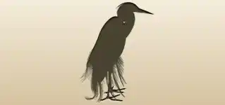 Heron