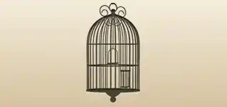 Cage