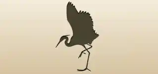 Heron