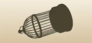 Cage
