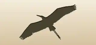 Heron