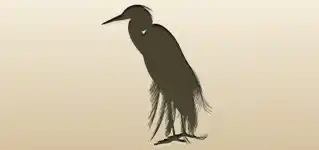 Heron
