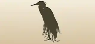 Heron