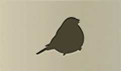 Bullfinch silhouette #3
