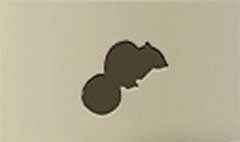 Chipmunk silhouette #2