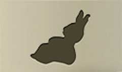Hare silhouette #4