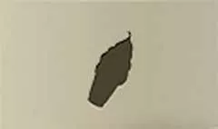 アイスクリーム