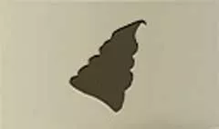 アイスクリーム
