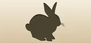 Hare