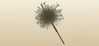 Sparkler