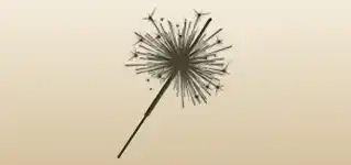 Sparkler