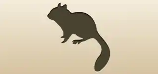 Chipmunk