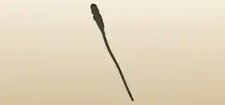 Staff