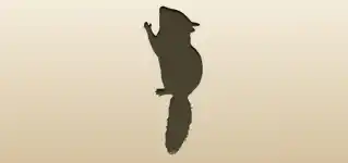 Chipmunk