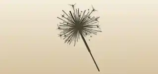 Sparkler