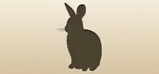Hare