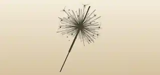 Sparkler