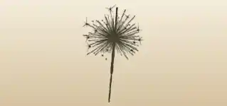 Sparkler