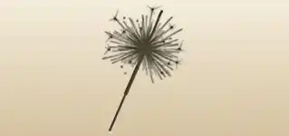 Sparkler