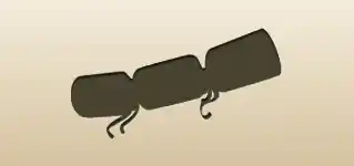 Christmas Cracker