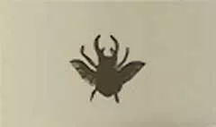 Beetle