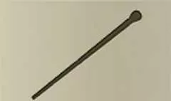 Cane