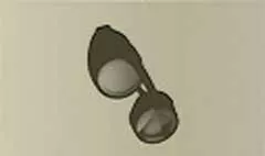 Goggles
