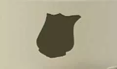 Police Badge