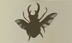 Beetle