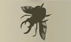 Beetle silhouette