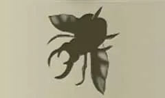 Beetle