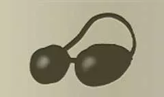 Goggles