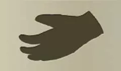 Glove
