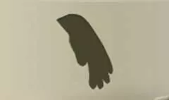 Glove