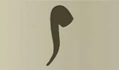 Pipe