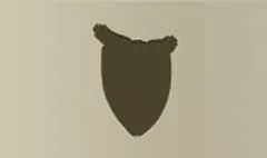 Police Badge