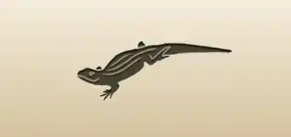 Lizard