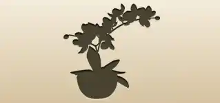 蘭のシルエット